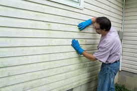 Best Siding for Commercial Buildings  in Mountain City, GA